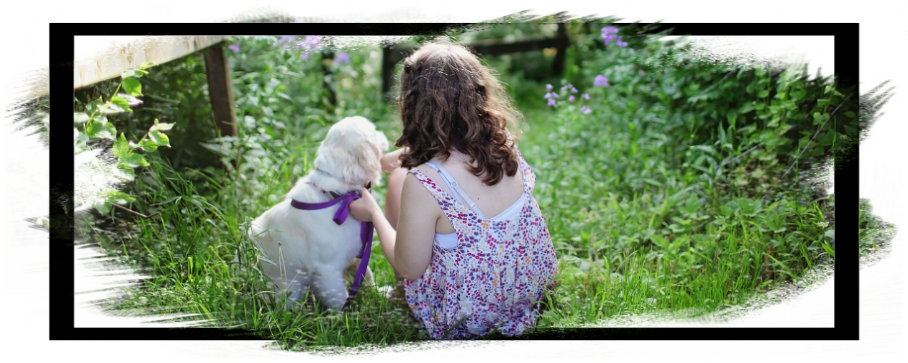 生活110番で庭トラブル｜評価評判や口コミ